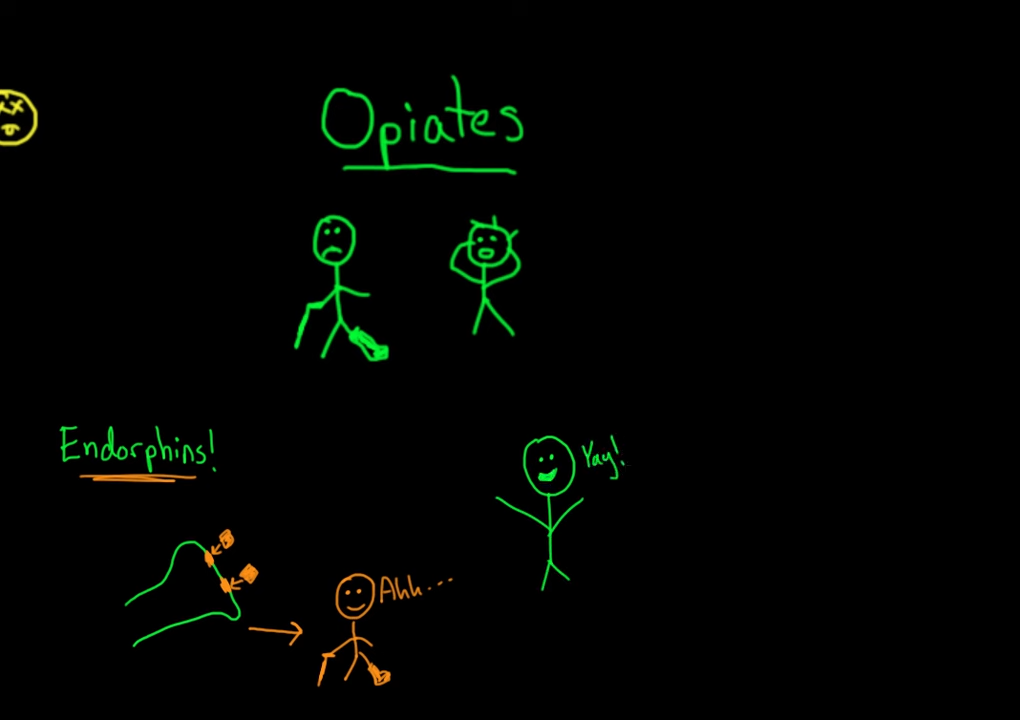 Psychoactive drugs_ Depressants and opiates _ Processing the Environment _ MCAT _ Khan Academy 4-17 screenshot.png