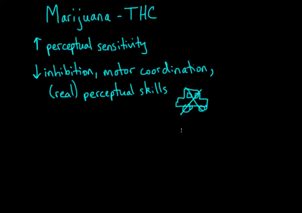 Psychoactive drugs_ Hallucinogens _ Processing the Environment _ MCAT _ Khan Academy 2-54 screenshot.png
