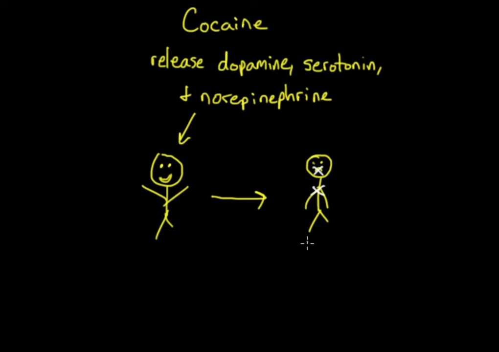 Psychoactive drugs_ Stimulants _ Processing the Environment _ MCAT _ Khan Academy 2-44 screenshot.png
