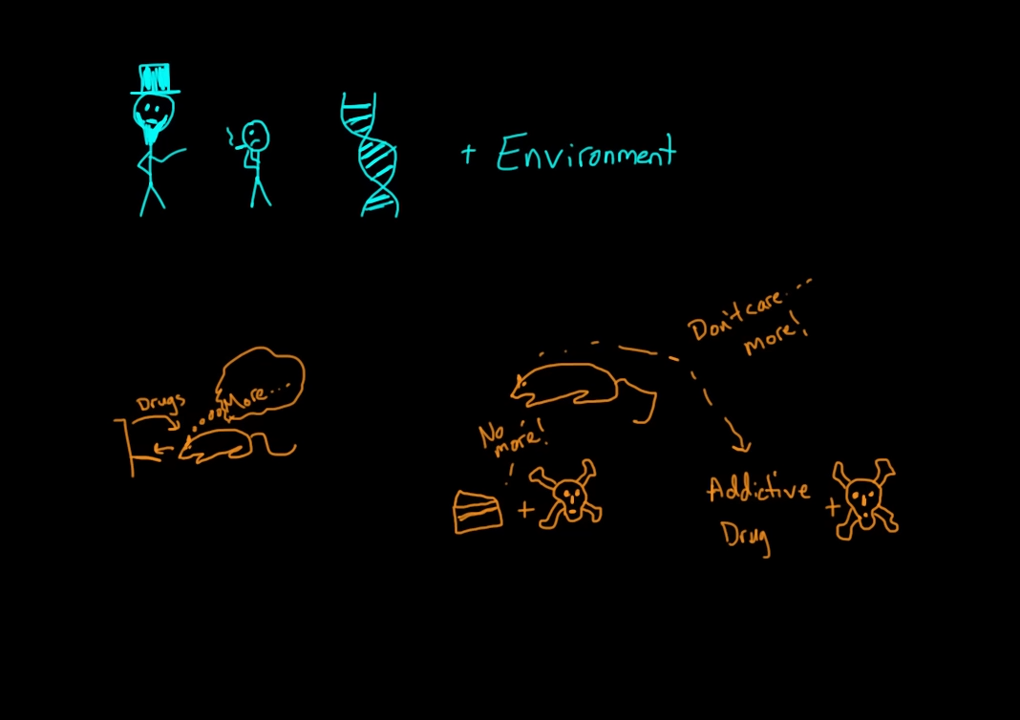Reward pathway in the brain _ Processing the Environment _ MCAT _ Khan Academy 8-17 screenshot.png