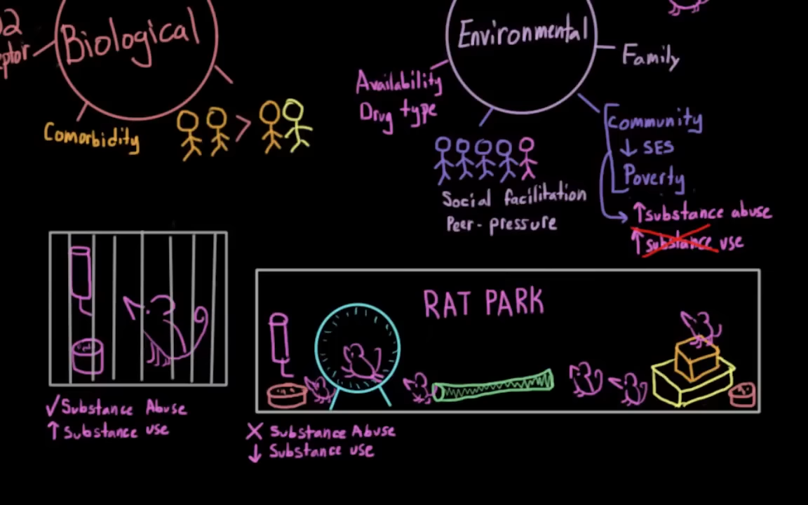 Risk factors for drug use and drug abuse 11-20 screenshot.png