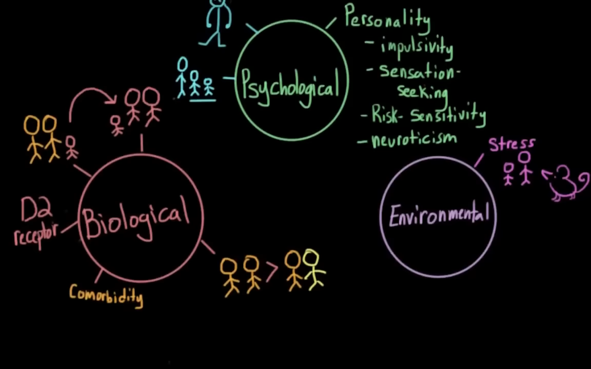 Risk factors for drug use and drug abuse 7-16 screenshot.png