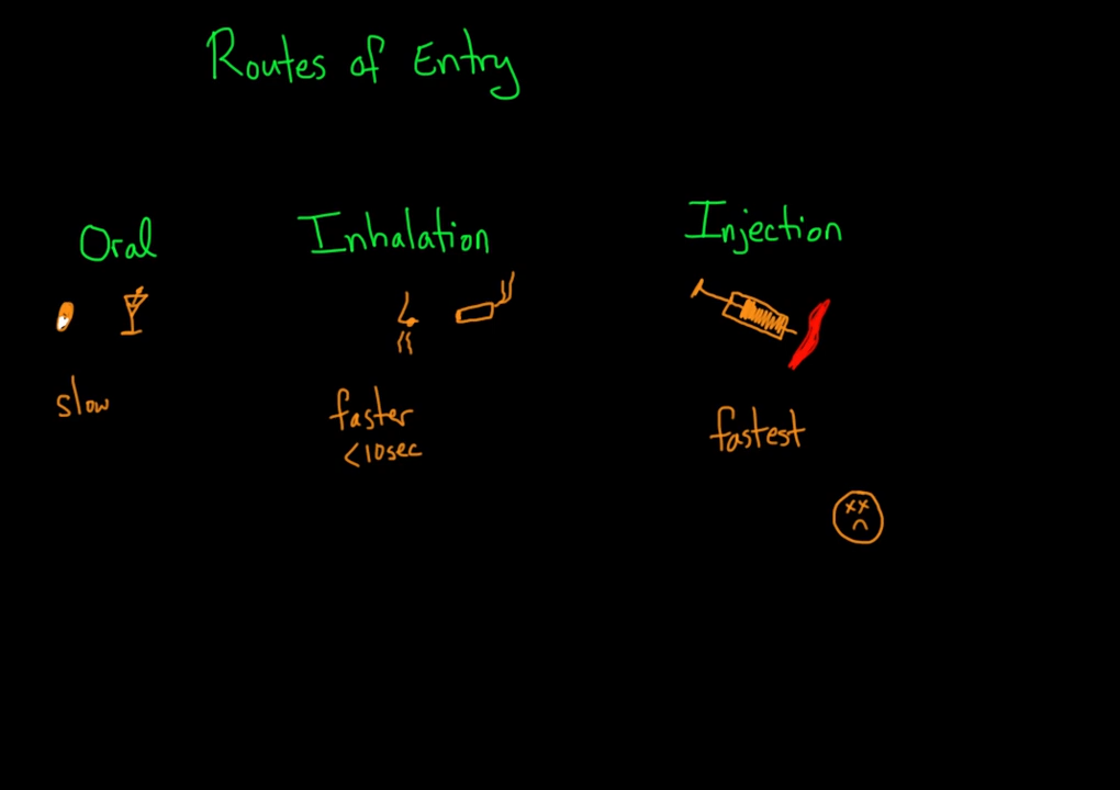 Routes of drug entry _ Processing the Environment _ MCAT _ Khan Academy 2-3 screenshot.png