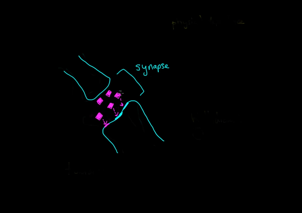 Tolerance and withdrawal _ Processing the Environment _ MCAT _ Khan Academy 2-33 screenshot.png