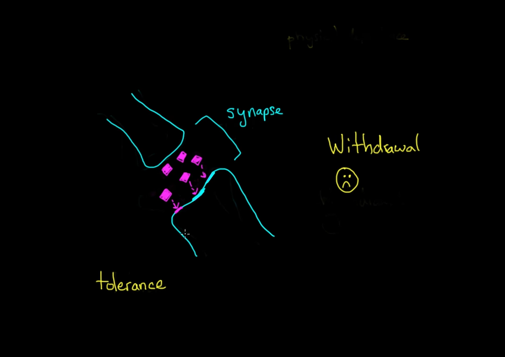 Tolerance and withdrawal _ Processing the Environment _ MCAT _ Khan Academy 5-23 screenshot.png